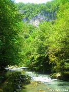  Абхазия горная река